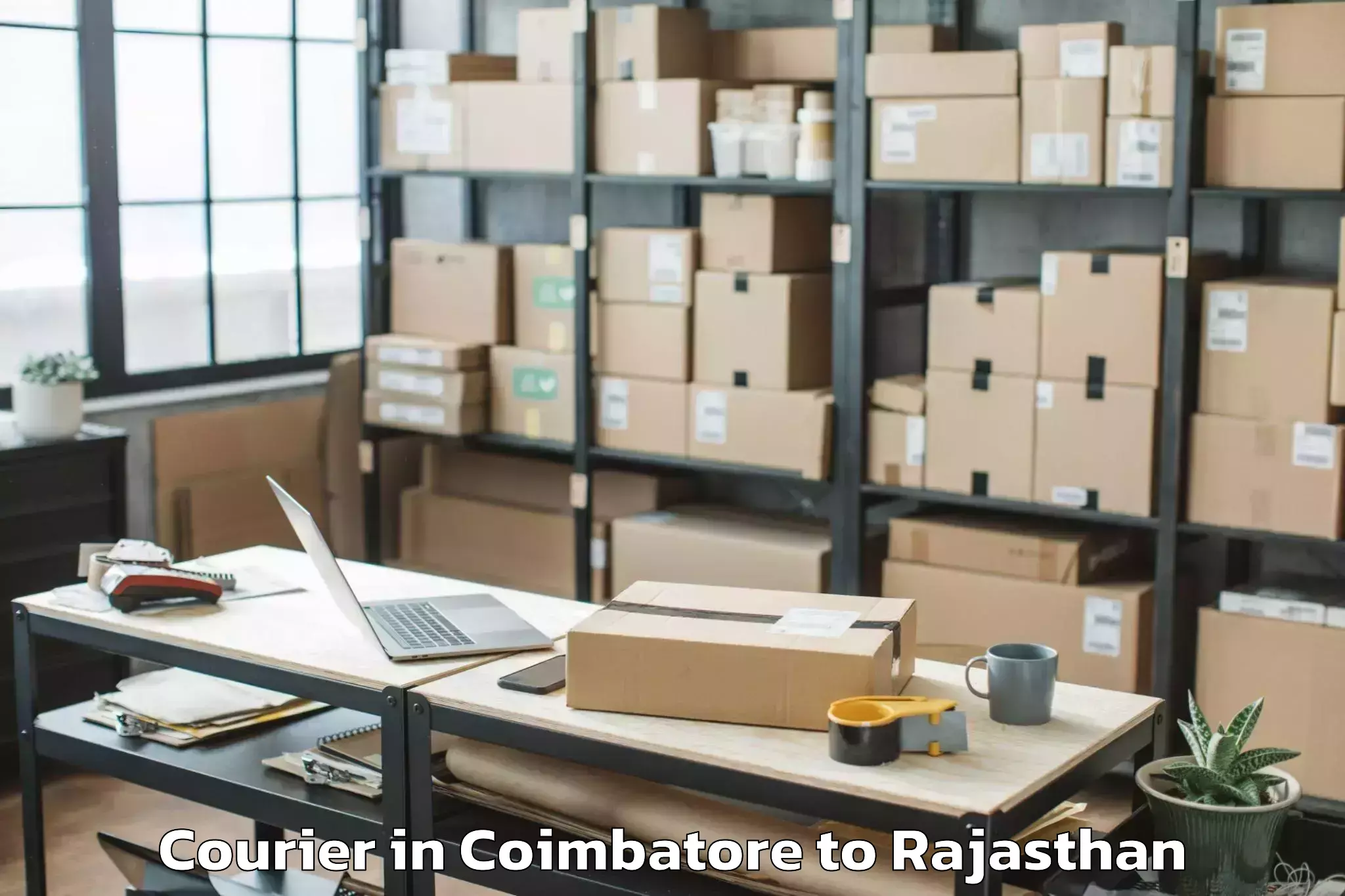 Leading Coimbatore to Deoli Courier Provider